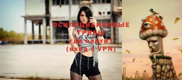 apvp Алексеевка