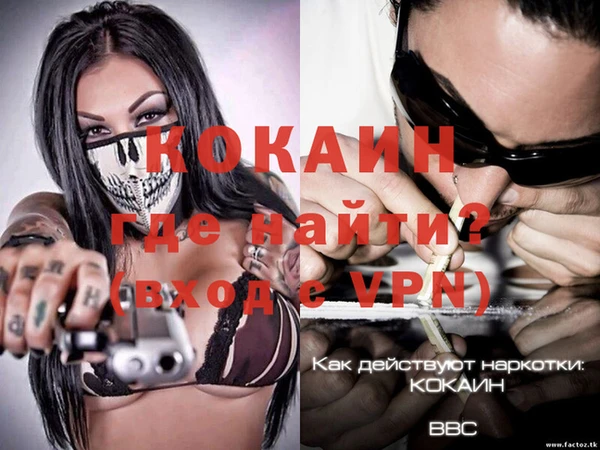крисы Алзамай