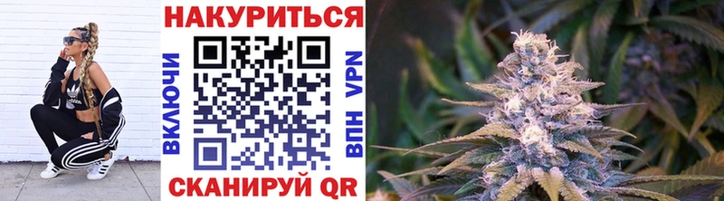 Канабис SATIVA & INDICA  Зерноград 